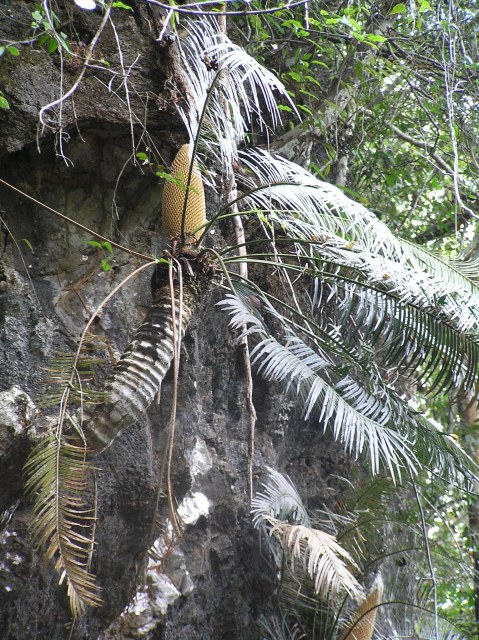 jvdwinden, photo 1