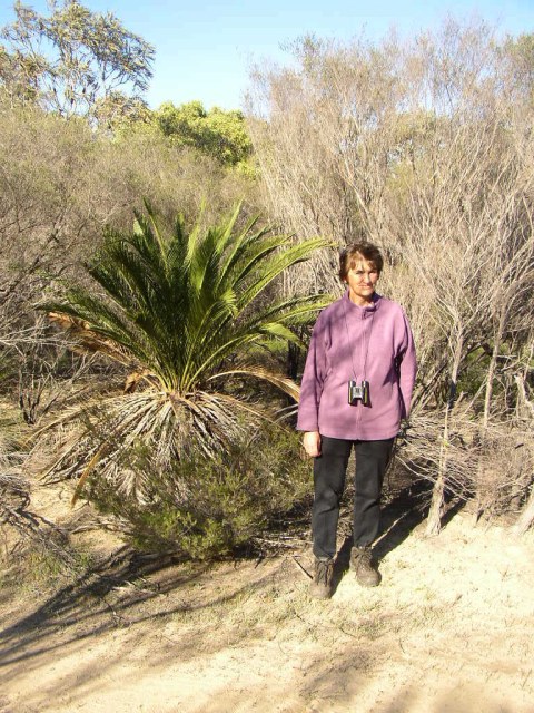 Tony Rebelo, photo 1