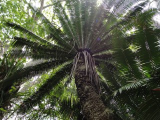 delmer jonathan, photo 1