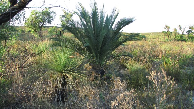 marcycad, photo 8