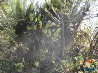 Eugenio Padilla, photo 1