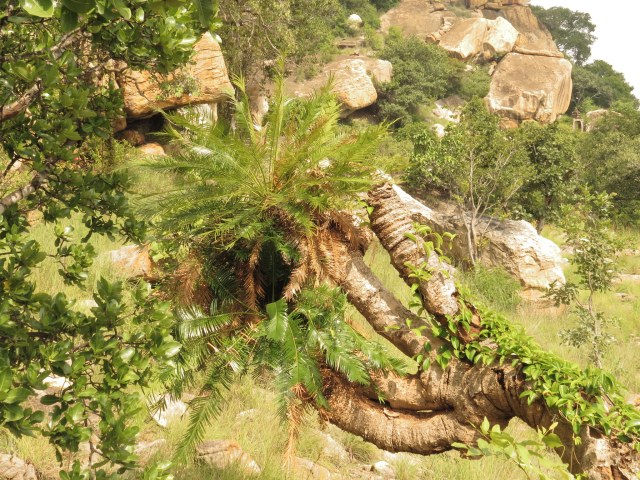 shivaprakash, photo 1