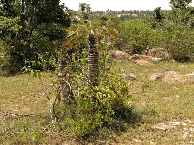 shivaprakash, photo 1