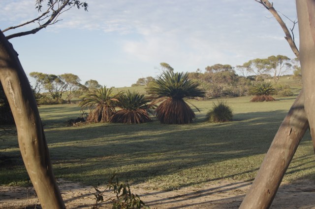 Russ Chambers, photo 1