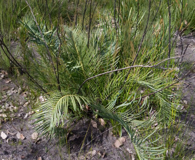 vr_vr, photo 1