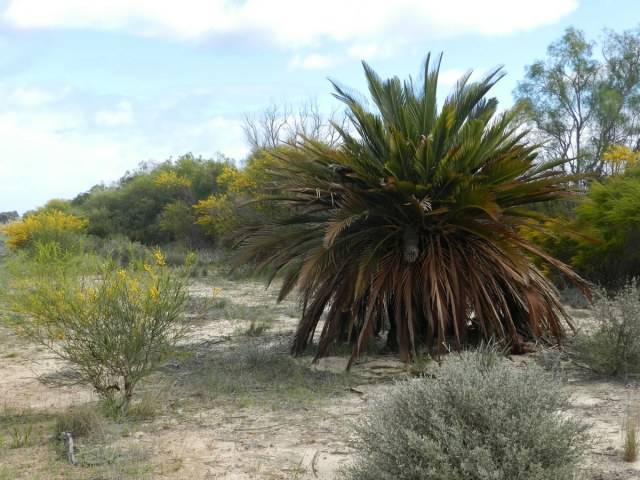 Frank Whitlock, photo 2