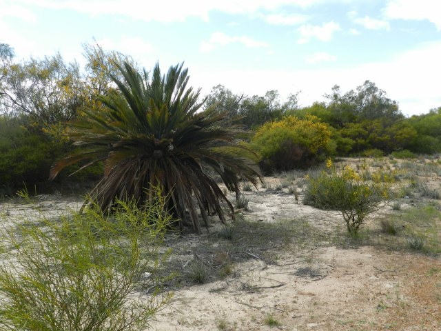 Frank Whitlock, photo 1