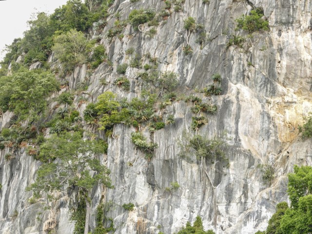 Cheongweei Gan, photo 1