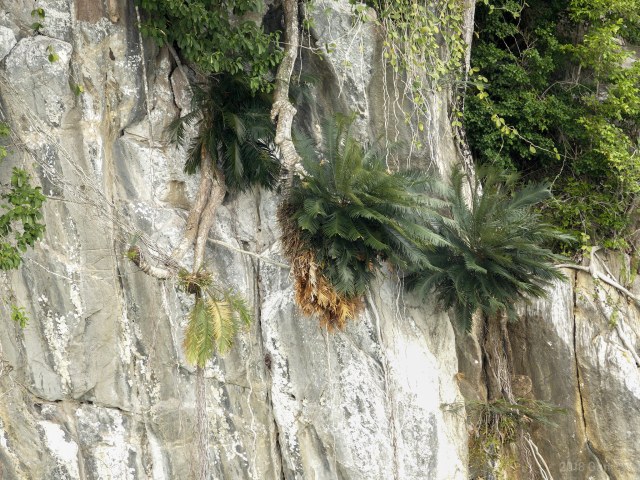 Cheongweei Gan, photo 2