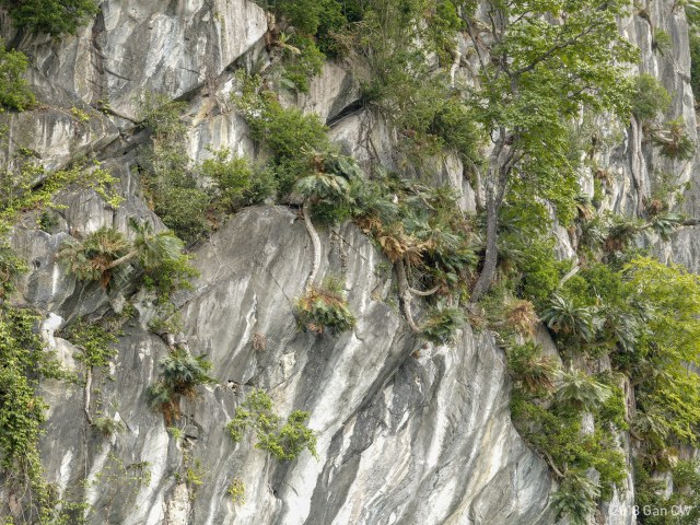 Cheongweei Gan, photo 1