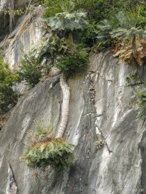 Cheongweei Gan, photo 2