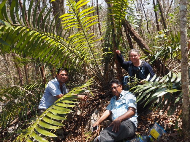 Pérez-Farrera, MA s.n., photo 6