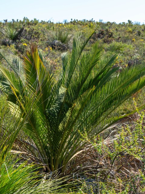 Heather Miles, photo 1