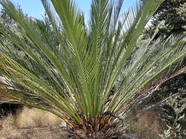 T. Hammer, photo 2