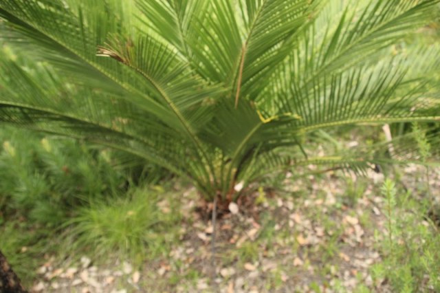Em Lamond, photo 3