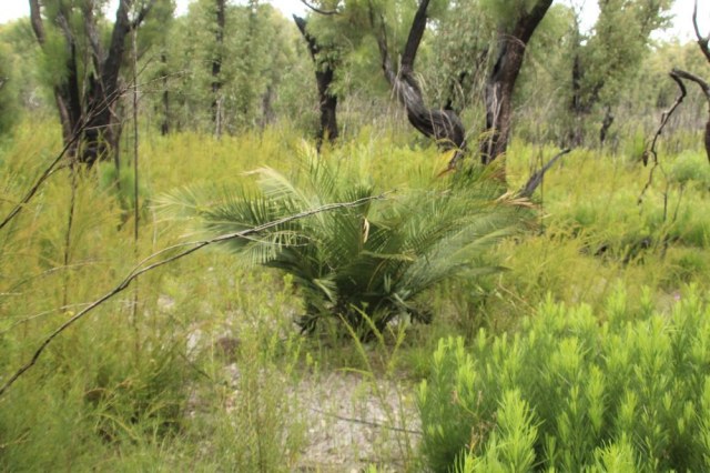 Em Lamond, photo 1