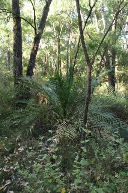 Em Lamond, photo 1