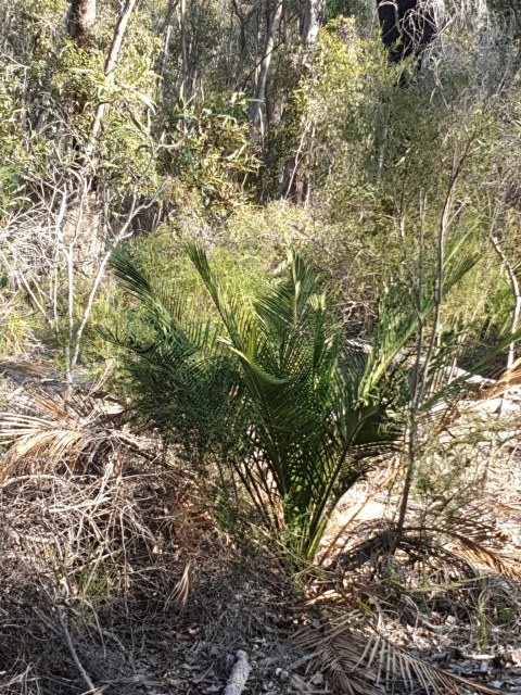 Em Lamond, photo 1