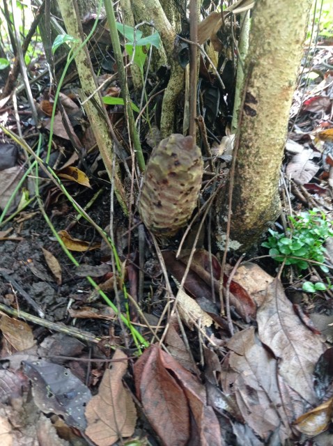 eder_herpnandez, photo 1