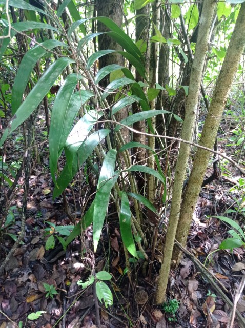 eder_herpnandez, photo 2