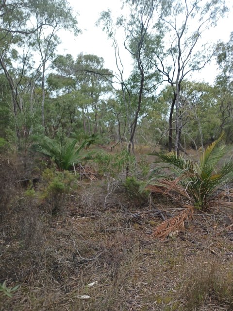 Em Lamond, photo 1