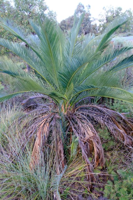 Peter Crowcroft, photo 1