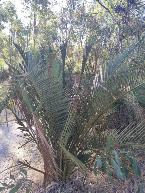 Stirling Yanchep, photo 3