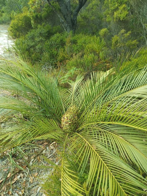 Em Lamond, photo 1