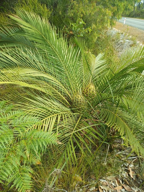 Em Lamond, photo 4