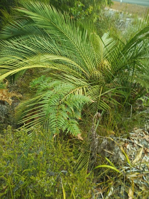 Em Lamond, photo 3