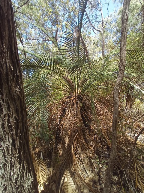 Em Lamond, photo 1