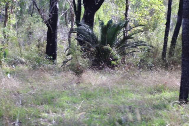 Em Lamond, photo 2