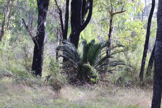 Em Lamond, photo 1