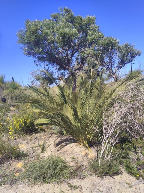 Stirling Yanchep, photo 4