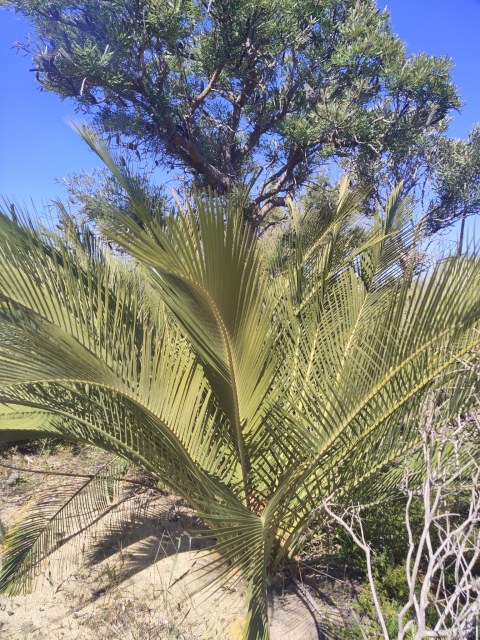 Stirling Yanchep, photo 1