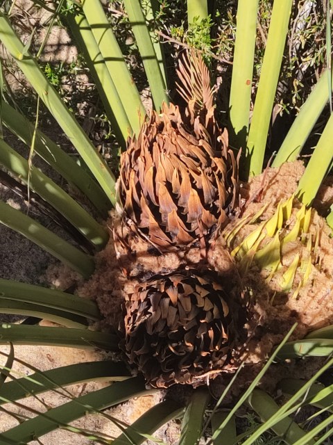 Stirling Yanchep, photo 5