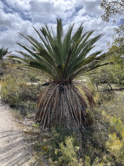 OzGadabout, photo 3