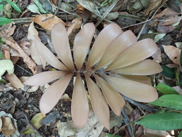 gabriel_hdz, photo 1