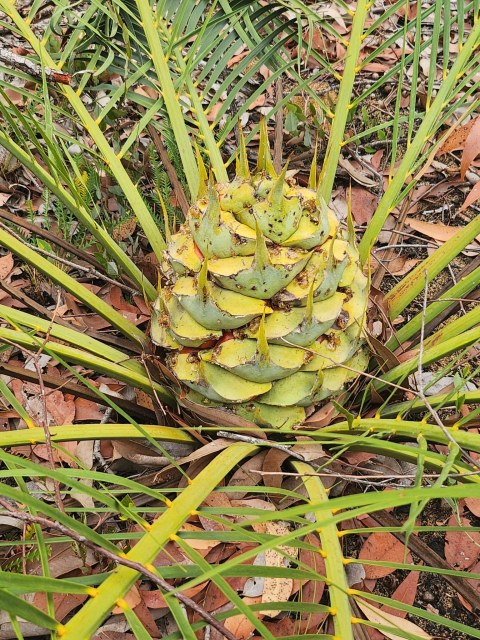 j_overton, photo 4