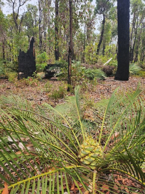 j_overton, photo 3