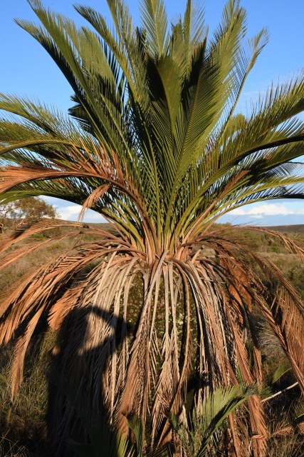 Em Lamond, photo 1