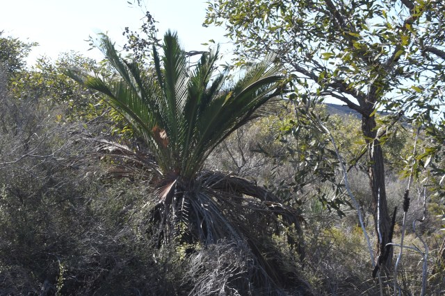 Em Lamond, photo 1