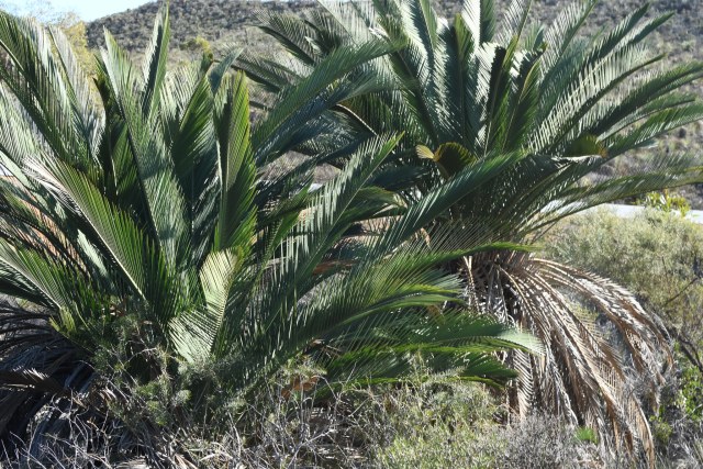 Em Lamond, photo 3
