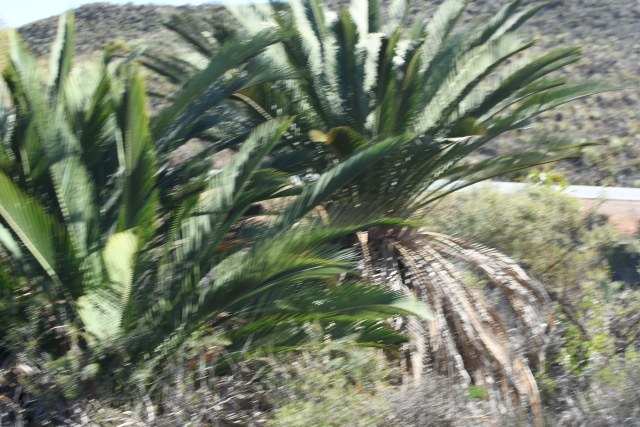 Em Lamond, photo 1