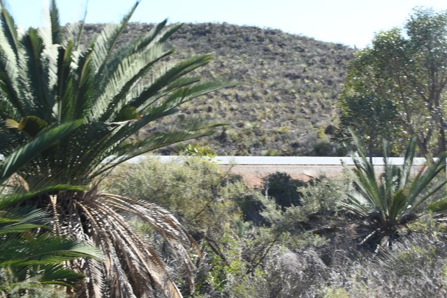 Em Lamond, photo 2