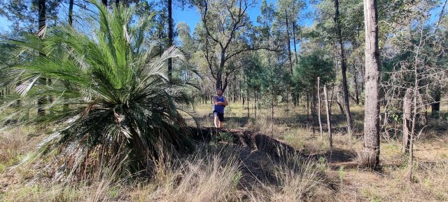 Dalziel, Y s.n., photo 29
