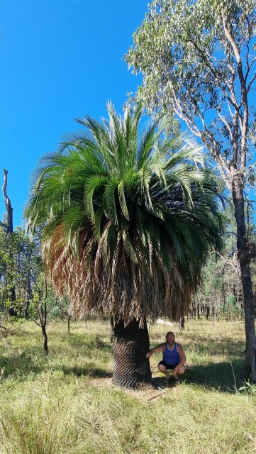 Dalziel, Y s.n., photo 18