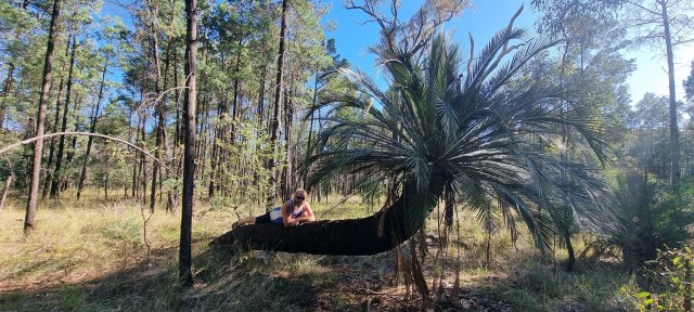 Dalziel, Y s.n., photo 8