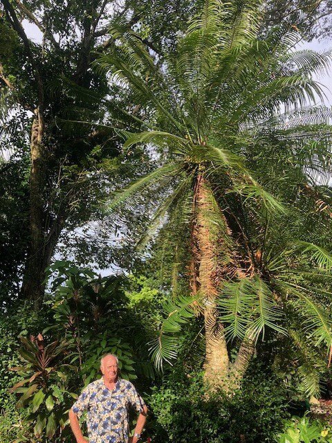 Roy Osborne, photo 7
