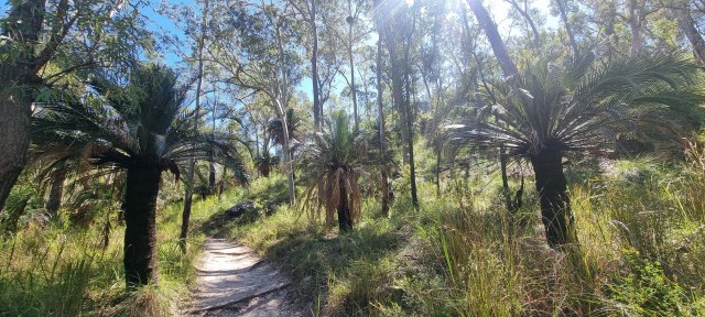 Dalziel, Y s.n., photo 2